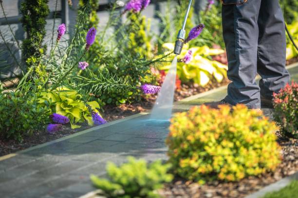 Reliable Asheboro, NC Pressure Washing Services Solutions